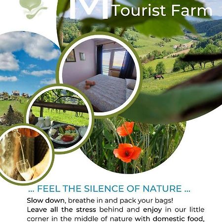 הוילה Miljana Masnec Tourist Farm מראה חיצוני תמונה