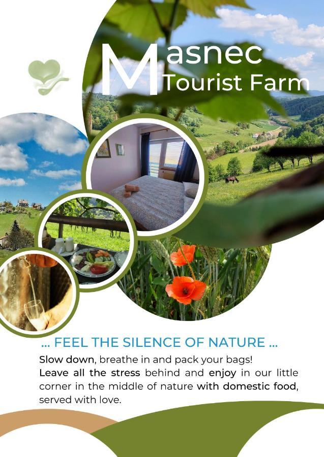 הוילה Miljana Masnec Tourist Farm מראה חיצוני תמונה